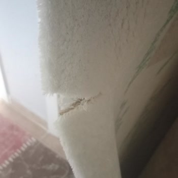 İlpak Halı Yıkama Halımın Yırtılması