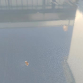 Defolu Ürün Ve Jelatinin Altındaki Büyük Atık