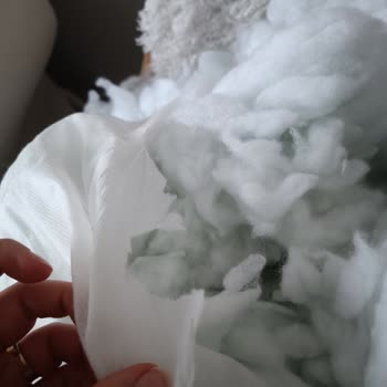 Garanti Kapsamındaki IKEA Koltuğumun İç Kılıfı Çürümüş Ve Haksız Suçlamalar