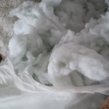 Garanti Kapsamındaki IKEA Koltuğumun İç Kılıfı Çürümüş Ve Haksız Suçlamalar