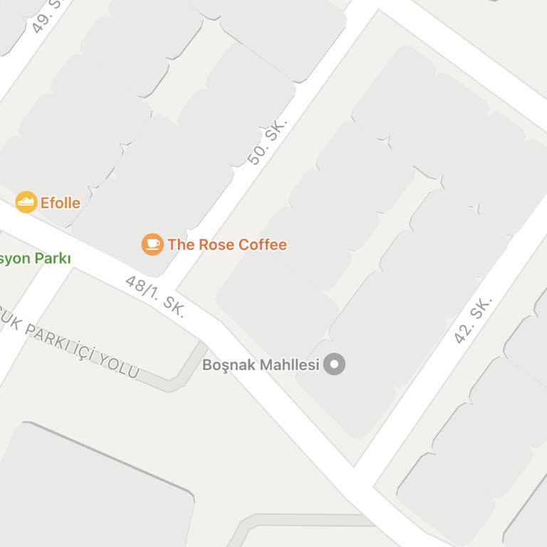 The Rose Coffee Köpeklerin Başıboş Bir Şekilde Kafe Ortamında Dolaşması