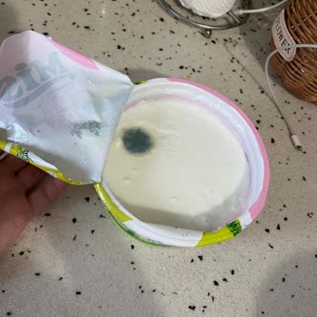 Şok Market Şubesinde Küflü Yoğurtta Yabancı Cisimler Ve Sağlık Riski