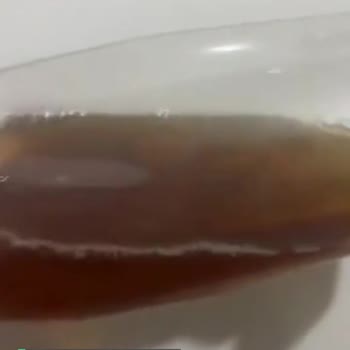 Fuse Tea İçinden Jelatinimsi Cisimler Çıktı