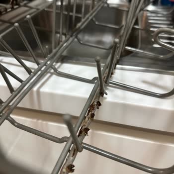 Teka Bulaşık Makinesinde Rafların Paslanması Ve Ücretsiz Değişim Talebi