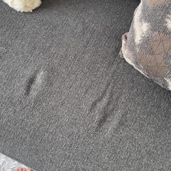 Kanepe Kumaşındaki Potluk Ve Bolluk Şikayeti