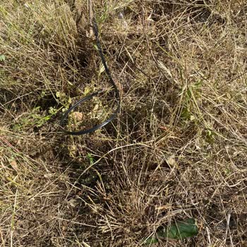 Türk Telekom’un Korunaksız Bağlantısı Nedeniyle Sürekli Kesilen Hat Ve Cevapsız Destek