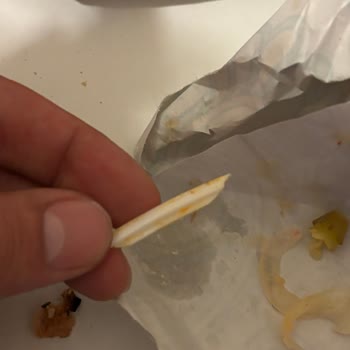 Sağlık Riski Taşıyan Plastik Parçalı Döner Ve Yorumun Keyfi Gizlenmesi