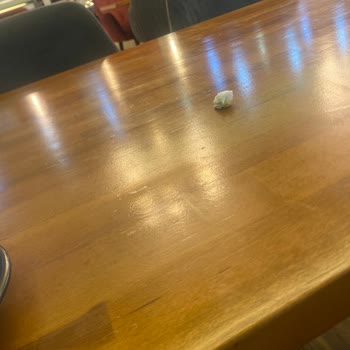 Hijyen Sorunu Ve Şeker Eksikliği Pastaneyi Hayal Kırdı