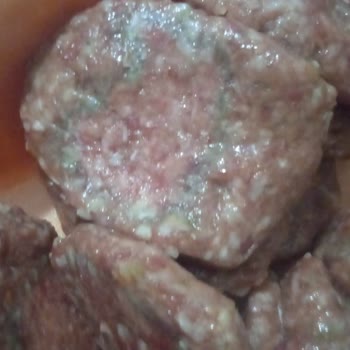 Sağlık Endişesi: Bozuk Köfte Ve İade Reddi