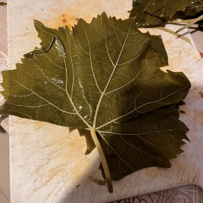 Sert Üzüm Yaprağı Ve Yanıltıcı Yorumlar, İade Reddi