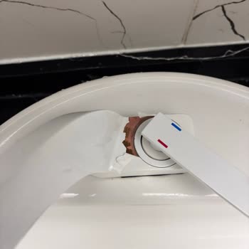 Garanti Verilen Banyo Bataryasında Kaplama Soyulması, Satıcı Ve Trendyol İlgisizliği
