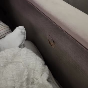 Villa Style Pişmanlık Yaşama