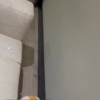 İnegöl Saloni Pişmanlık