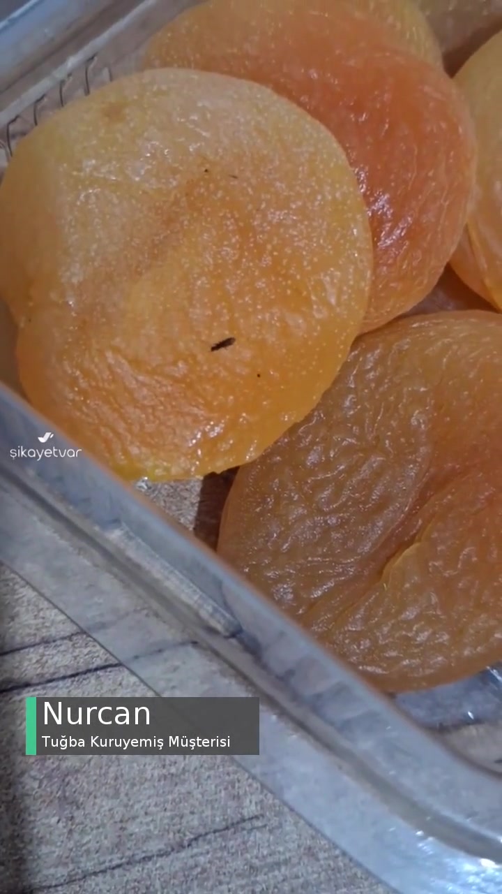 Tuğba Kuruyemiş Kayısının İçinde Böcek videonun kapak resmi