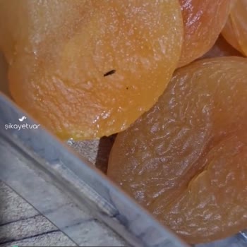 Tuğba Kuruyemiş Kayısının İçinde Böcek
