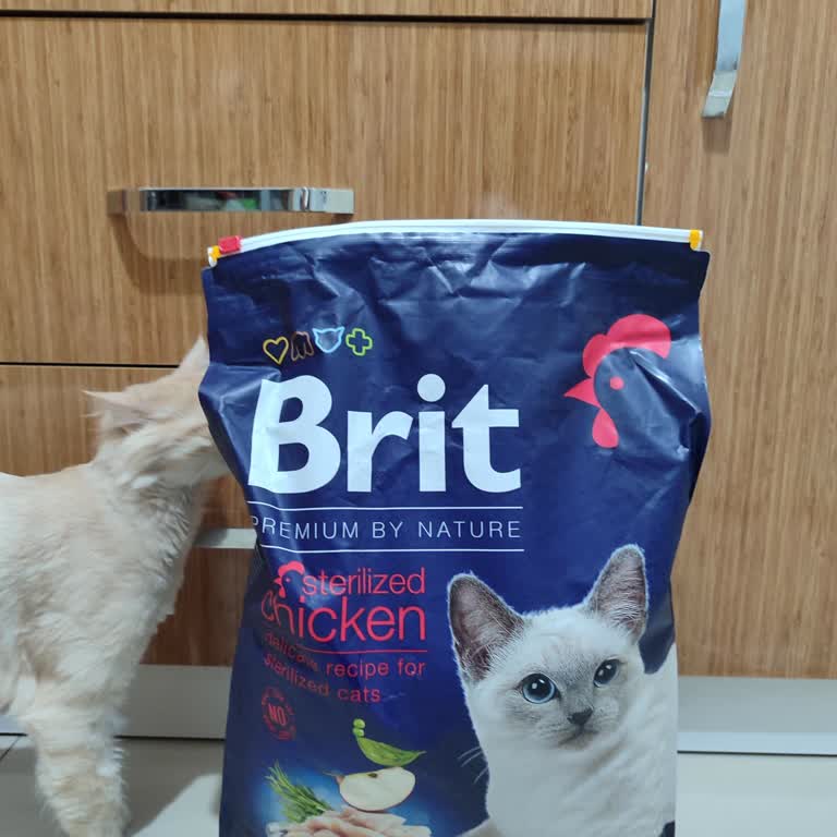 Yanlış Kedi Maması Gönderimi Ve Fiyat Farkı İadesi Talebi