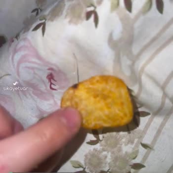 Lays Cipsten Plastik İnce Uzun Bir Şey Çıktı!