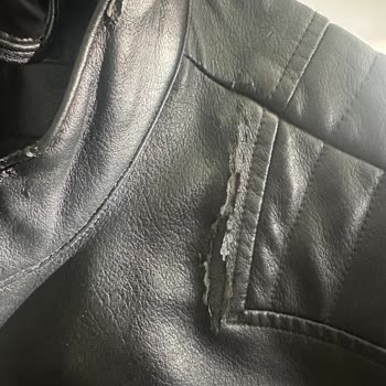 Mavi Deri Montun Derisi Soyuluyor Ve Yırtılıyor