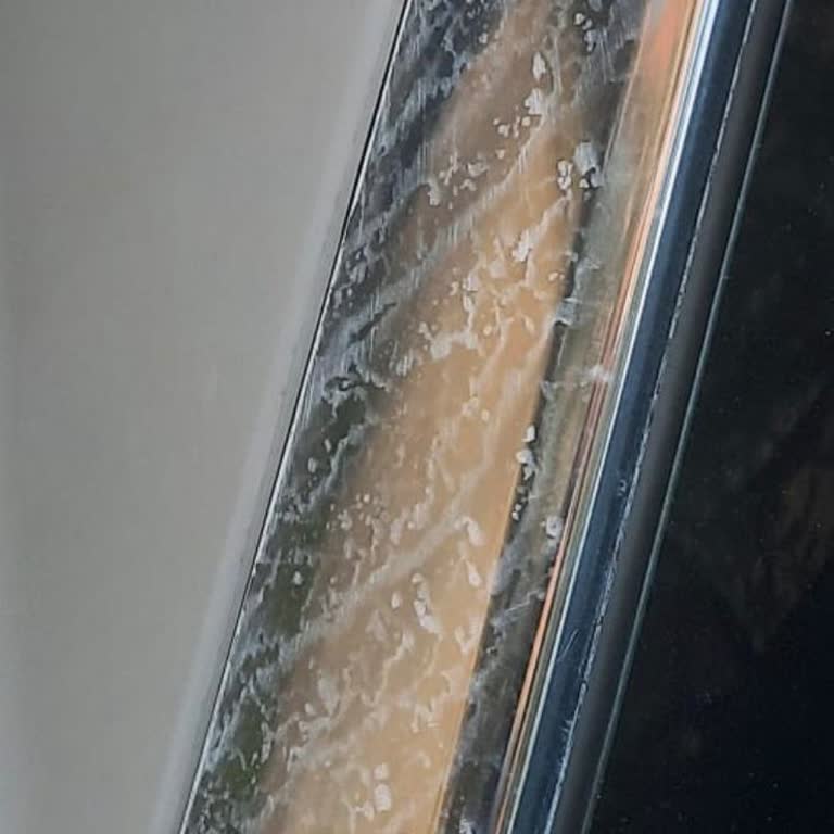 Volkswagen T Roc Metal Çıtalardaki Lekeler İçin Ücretsiz Kalıcı Çözüm Talebi