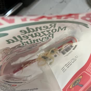 Küflü Mozzarella Peyniri Satın Alındı Ve Sağlık Riski