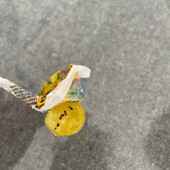 Ölü Karınca İçeren Lollipop: Çocuk Güvenliği Tehlikede