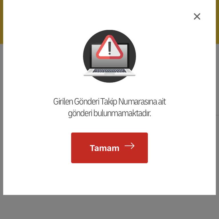 Kayıp Krampon Siparişi Ve Müşteri Hizmetlerinden Yanıtsızlık