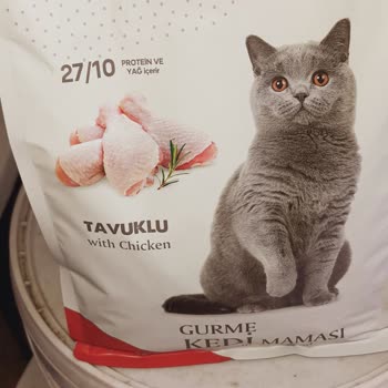Nicky Kedi Maması Nedeniyle Kedilerde Ölümcül İshal Ve Ölüm