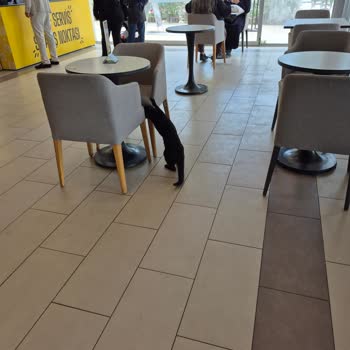 Beltur Paşalimanı Cafe'de Hijyen Eksikliği Ve Kalitesiz Kahvaltı