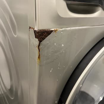 Paslanan Çamaşır Makinesi İçin Fatura Ve Değişim Talebi