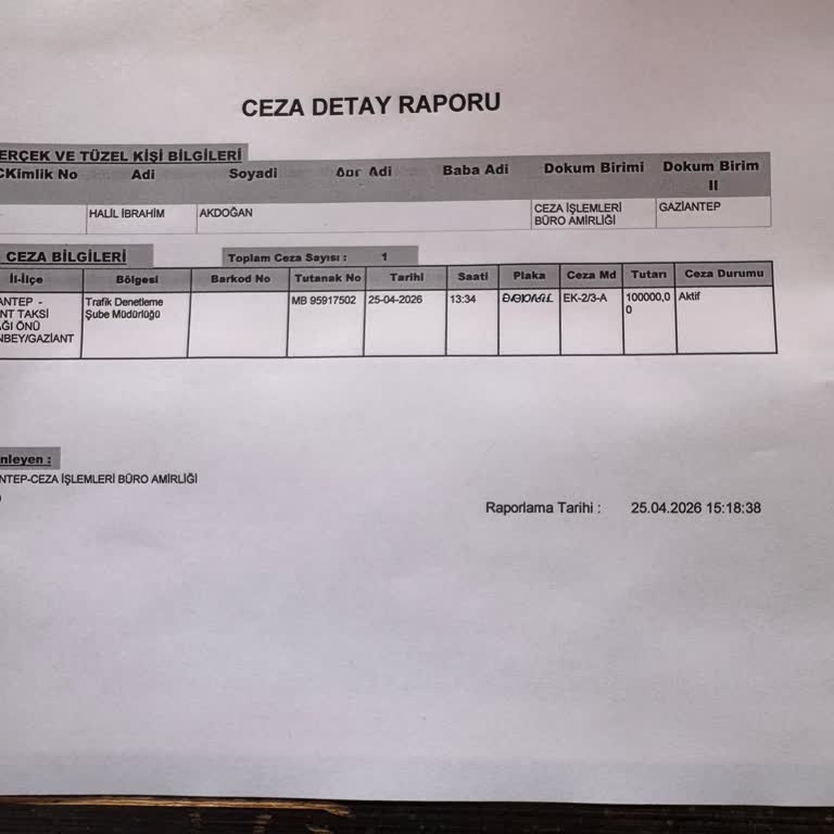 Martı Tag Cezası 100 Bin TL Ödenmedi, Söz Verilen Avukat Ataması Gerçekleşmedi