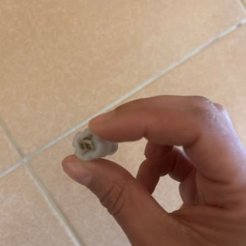 Karaca Mastermaid Prosteel Blender'da Plastik Parçanın Yanması Ve Garanti Dışı Ücret Talebi