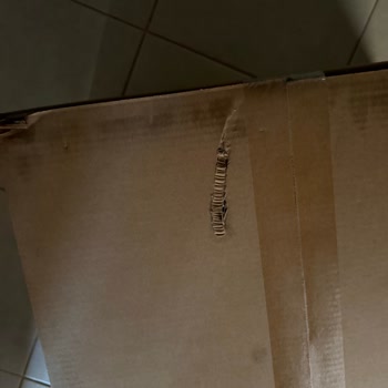 Hasarlı Koliyle Gelen Samsung Projeksiyon Cihazı İçin Değişim Talebi