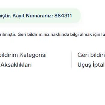 Ajet Uçuş İptalleri Nedeniyle Tam İade Talebi