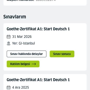 A1 Sınavının Adil Değerlendirilmemesi Ve Ücretsiz Tekrar Talebi