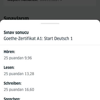A1 Sınavının Adil Değerlendirilmemesi Ve Ücretsiz Tekrar Talebi