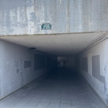 Osmangazi Botanik Park Alt Geçidindeki Asansörlerin Arızası Engelliler İçin Tehlike