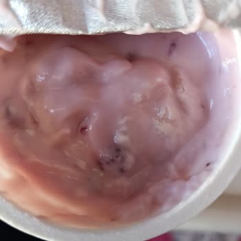 Son Kullanma Tarihi Geçmemiş Olmasına Rağmen Küflenmiş Dost Yoğurdu