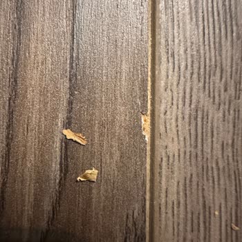 Yeni Döşenen Laminantın Kısa Sürede Kabarması Ve Şirketin Sorumluluk Reddi