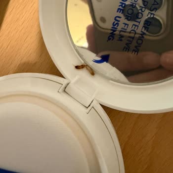 Nivea Yüz Bakım Kreminde Kurtlar: Hijyen Ve Sağlık Riski
