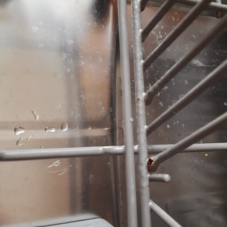 Beş Yıllık Samsung Bulaşık Makinesinin Alt Sepeti Çürüdü Ve Garanti Reddi