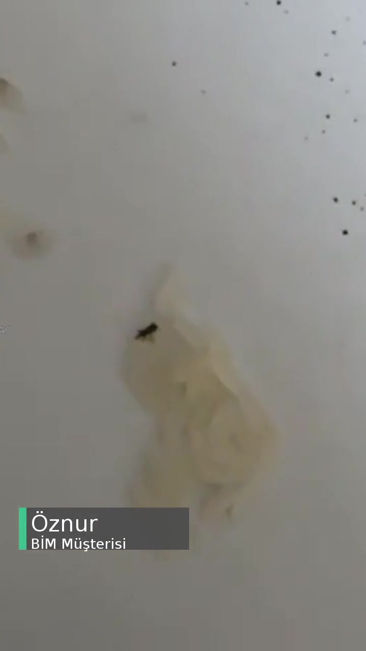 BİM Pirincin İçinden Çıkan Böcek videonun kapak resmi