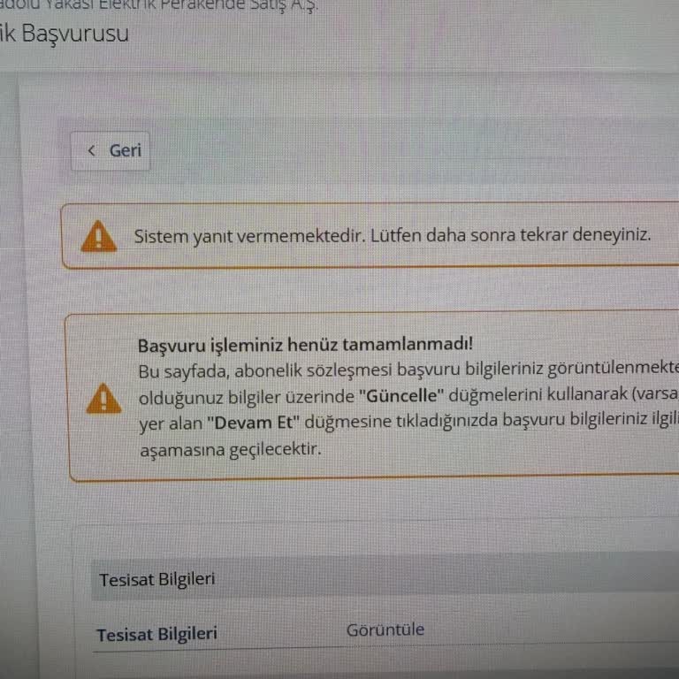 E-Devlet Üzerinde Elektrik Abonelik Başvurusu Sürecinde Sürekli Sistem Hatası