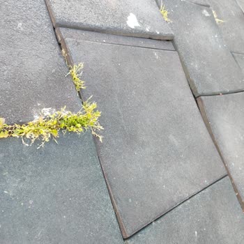 Park Zeminindeki Bozukluk ve Çocuk Güvenliği