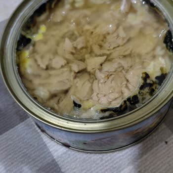 Son Kullanma Tarihi Geçmemiş Konserve Ton Balığında Küflenme Ve Kurtlanma