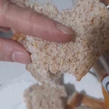Kepek Ekmeğinde Talaş Benzeri Madde Çıktı, Sağlık Ve Hijyen Endişesi