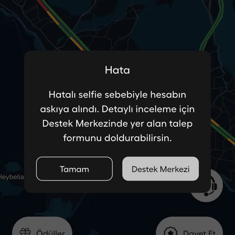 Hatalı Selfie Gerekçesiyle Hesabım Askıya Alındı, Destekten Yanıt Gelmiyor