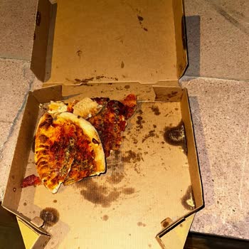 Domino’s Delivered Cold Inedible Pizza and Failed to Replace Order