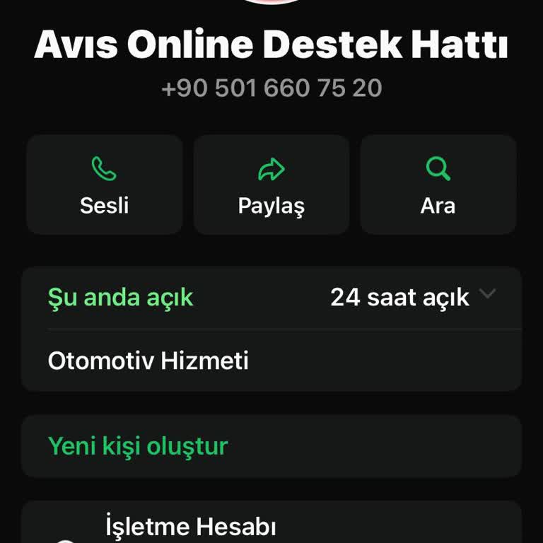 İnternet Üzerinden Araç Kiralama 127.000 TL'lik Sahte Ödeme Ve Geri Ödeme Talebi
