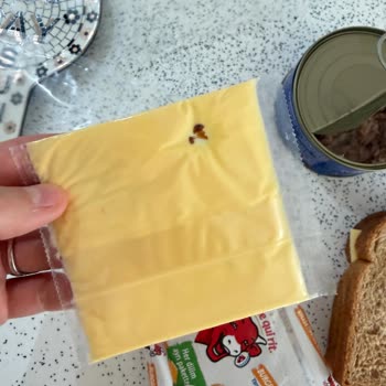 Açılmamış Peynir Dilimlerinde Koyu Renkli Yabancı Madde