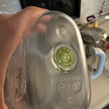 Brita Cam Sürahide Ulaşılamaz Yosunlanma Ve Temizlenememe Sorunu